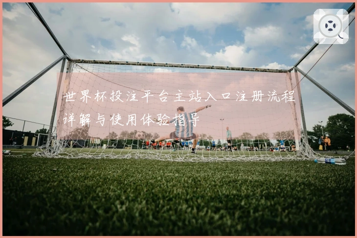 世界杯投注平台主站入口注册流程详解与使用体验指导