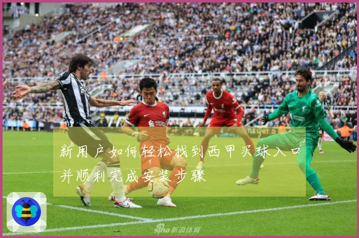新用户如何轻松找到西甲买球入口并顺利完成安装步骤