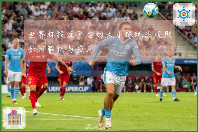 世界杯投注平台的大小球玩法规则如何解析与应用