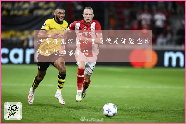 世界杯竞猜官方首页使用体验全面评测与功能介绍