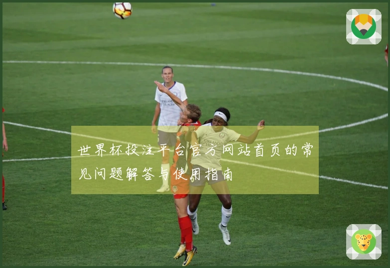 世界杯投注平台官方网站首页的常见问题解答与使用指南