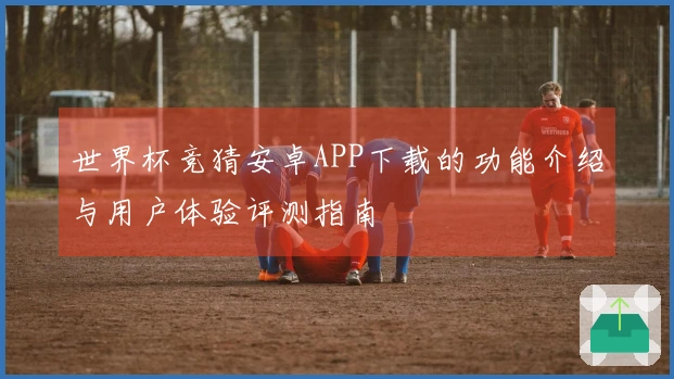 世界杯竞猜安卓APP下载的功能介绍与用户体验评测指南