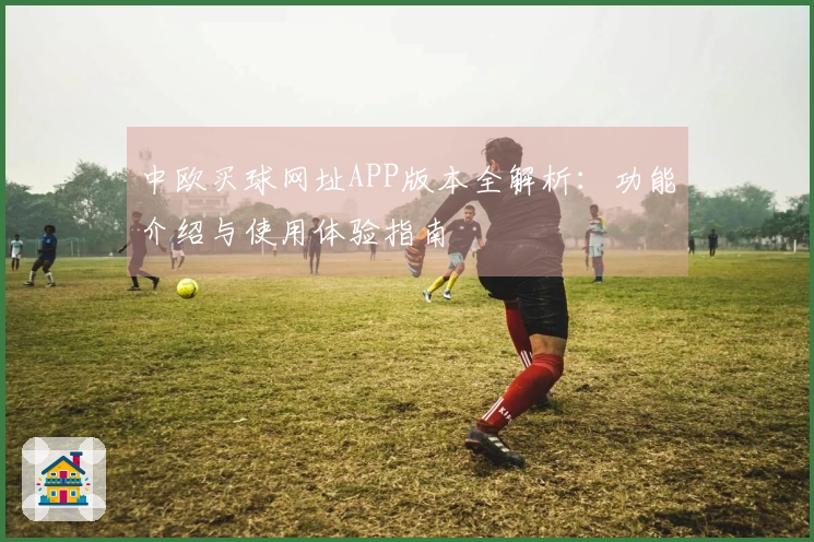中欧买球网址APP版本全解析：功能介绍与使用体验指南