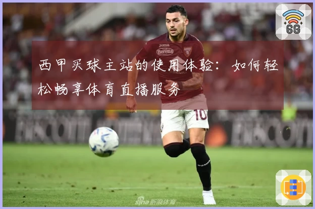 西甲买球主站的使用体验：如何轻松畅享体育直播服务