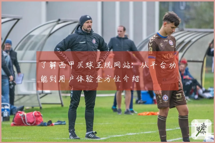 了解西甲买球正规网站：从平台功能到用户体验全方位介绍