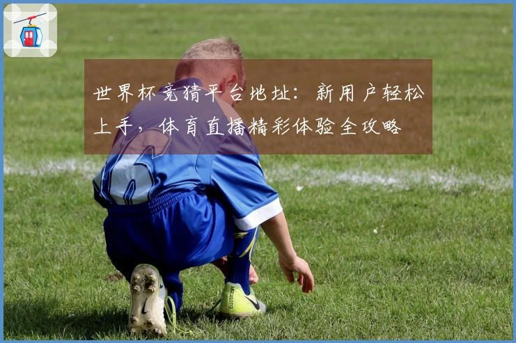 世界杯竞猜平台地址：新用户轻松上手，体育直播精彩体验全攻略
