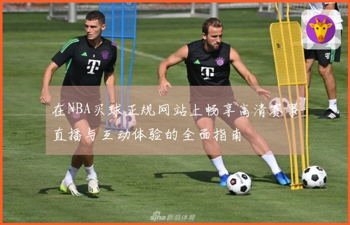 在NBA买球正规网站上畅享高清赛事直播与互动体验的全面指南