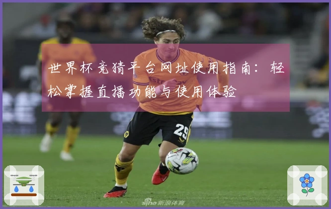 世界杯竞猜平台网址使用指南：轻松掌握直播功能与使用体验