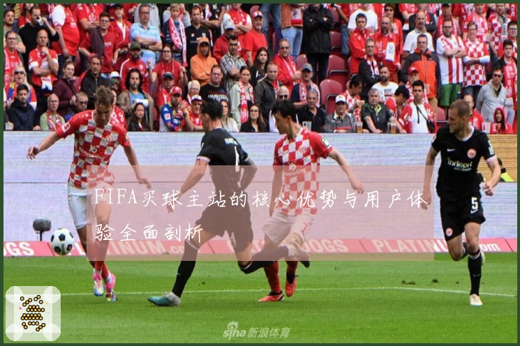 FIFA买球主站的核心优势与用户体验全面剖析