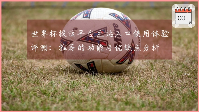 世界杯投注平台主站入口使用体验评测：推荐的功能与优缺点分析